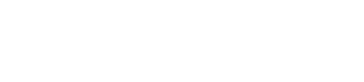 Netcomm Focus B2B Digital Commerce