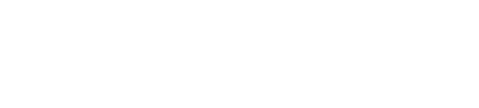 Netcomm Focus Digital Export & Marketplace