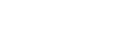 Netcomm Focus Digital Marketing