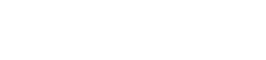 Netcomm Focus Fashion & Lifestyle