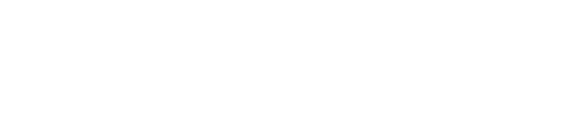Netcomm Focus Food & Grocery