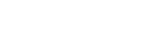 Netcomm Focus Payment & Logistics